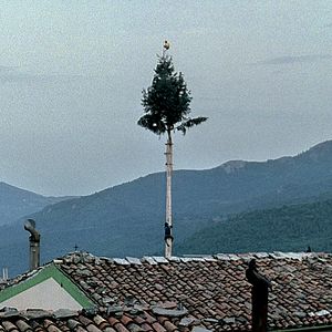 Bilder Michelangelo Frammartino