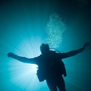 Bilder Alister Grierson