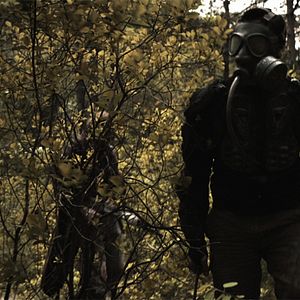 Bilder Sons of Chaos