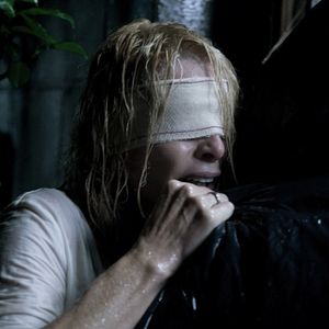 Bilder Guillem Morales