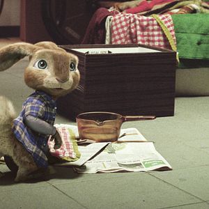 Bilder Hop - Osterhase oder Superstar