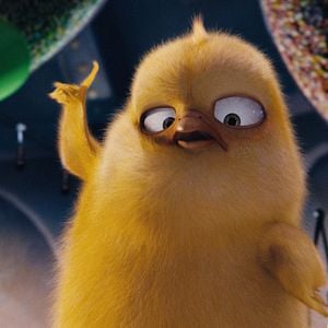 Bilder Hop - Osterhase oder Superstar