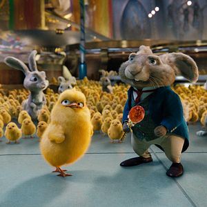 Bilder Hop - Osterhase oder Superstar