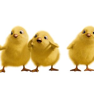 Bilder Hop - Osterhase oder Superstar