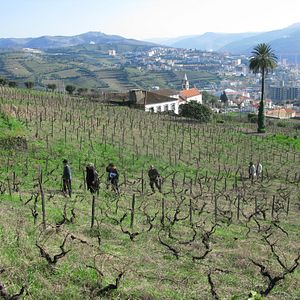 Bilder The Strange Case of Angelica