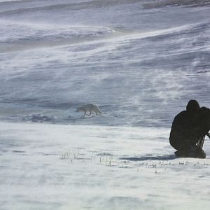Bilder Russland - Im Reich der Tiger, Bären und Vulkane