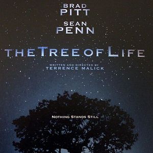 Bilder The Tree of Life