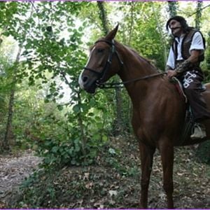 Bilder Kutsal Damacana 3