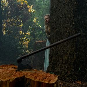 Bilder Amanda Seyfried