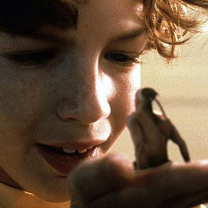 Bilder Der Indianer im Küchenschrank