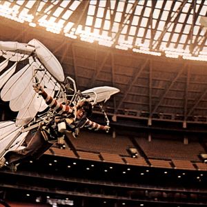 Bilder Nur Fliegen ist schöner