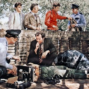 Bilder Nur Fliegen ist schöner