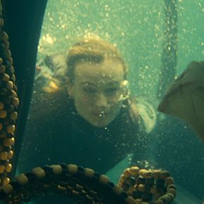 Bilder Unknown Identity