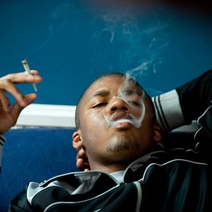 Bilder Cherry Tree Lane