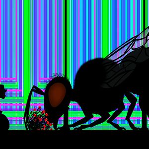 Bilder Tales Of The Night