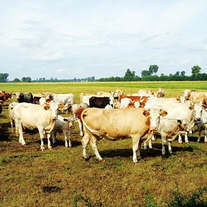 Bilder Stadt Land Fluss