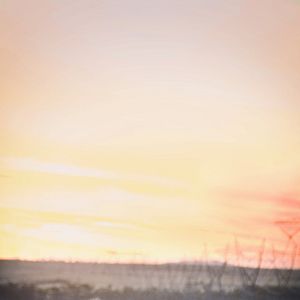 Bilder The Loved Ones - Pretty In Blood