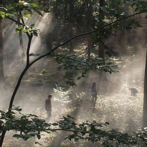 Bilder Was du nicht siehst