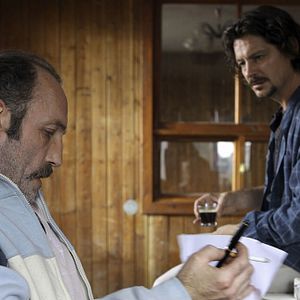 Bilder Black Brown White