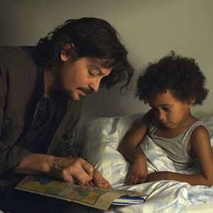 Bilder Black Brown White