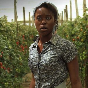 Bilder Black Brown White