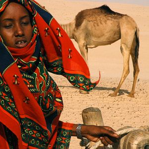 Bilder Nathalie Borgers