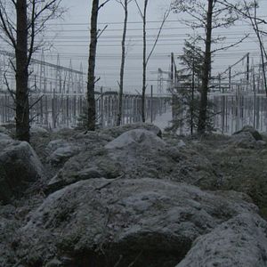 Bilder Michael Madsen (II)