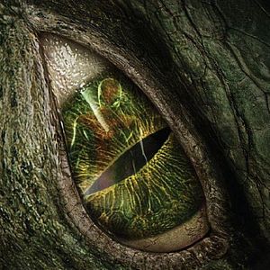 Bilder The Amazing Spider-Man