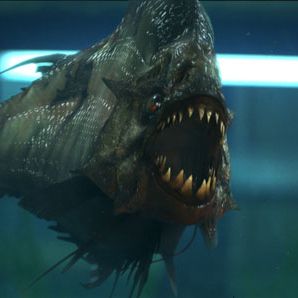 Bilder Piranha 3D