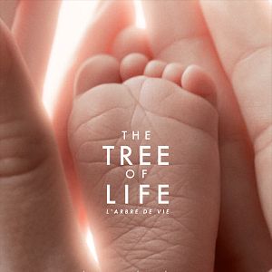 Bilder The Tree of Life