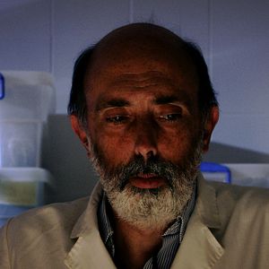 Bilder Los caminos de la memoria