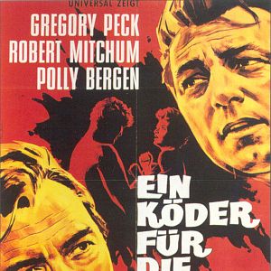 Bilder Kap der Angst