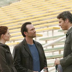 Bilder Heather Stephens