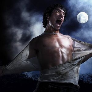 Bilder Teen Wolf