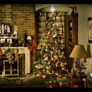 Bilder Twilight 4: Breaking Dawn - Bis(s) zum Ende der Nacht (Teil 1)