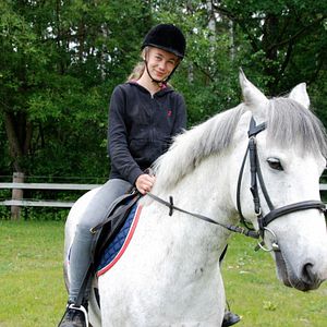 Bilder Ein Pferd für Klara