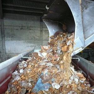 Bilder Frisch auf den Müll