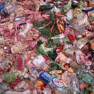 Bilder Frisch auf den Müll