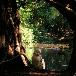 Bilder Jane's Journey - Die Lebensreise der Jane Goodall