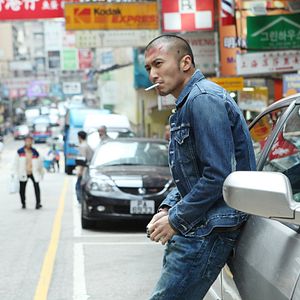 Bilder The Stool Pigeon