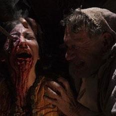 Bilder Don't Look Up