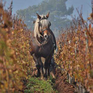 Bilder La Clef des Terroirs