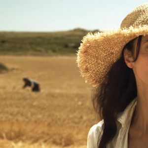 Bilder Von deinem Fenster aus zu meinem