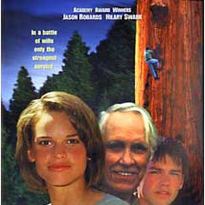 Bilder Der Baumflüsterer