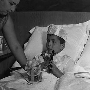 Bilder Maître Galip