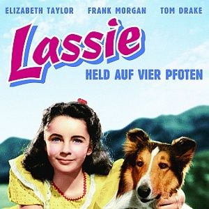 Bilder Held auf vier Pfoten