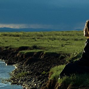 Bilder Das Lied von den zwei Pferden