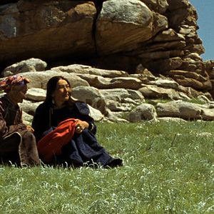 Bilder Das Lied von den zwei Pferden