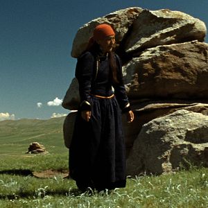 Bilder Das Lied von den zwei Pferden