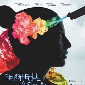 Bilder Bibliotheque Pascal